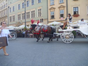 Kraków 2016 (47)