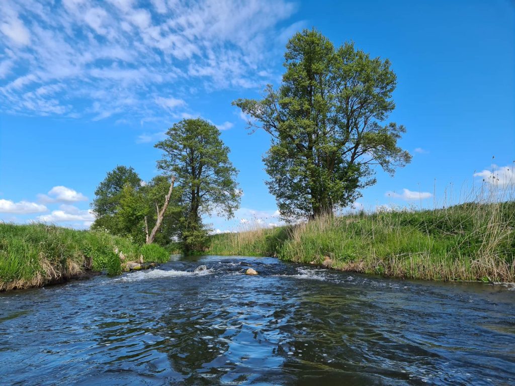 Rodzinny Spływ Wakacyjny rzeka Wierzyca – „Z naturą i kulturą”